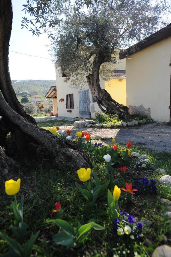 B&B Conca Del Pretore Loreto Aprutino Exterior photo